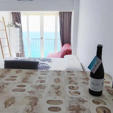 Apartment Petit Palace